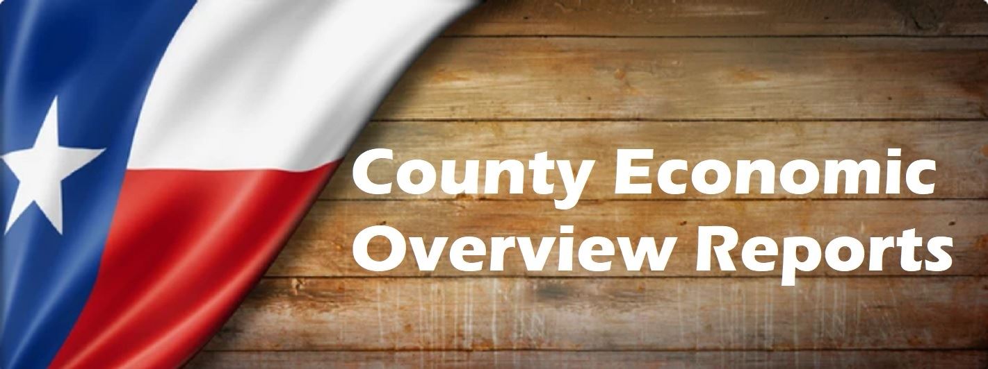 County Economic Overview